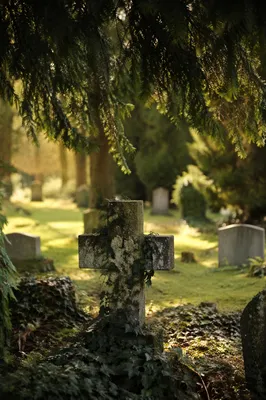 Weathered Stone Cross in Evergreen Cemetery