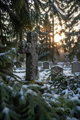 Weathered Stone Cross Among Snowy Evergreens