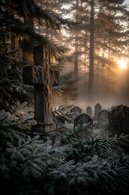 Weathered Stone Cross in Frosted Cemetery