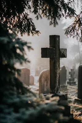 Weathered Stone Cross in Misty Evergreen Cemetery