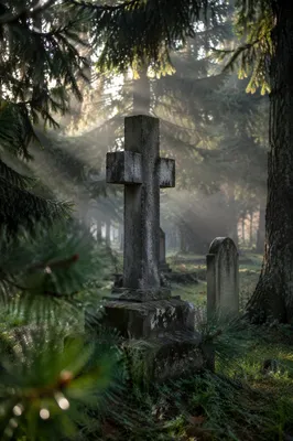 Weathered Stone Cross in Evergreen Cemetery