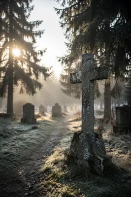 Weathered Stone Cross in Evergreen Cemetery