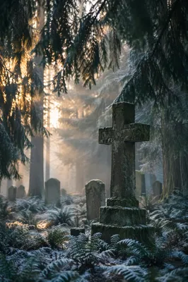 Weathered Stone Cross in Evergreen Cemetery