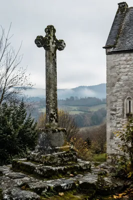 Weathered Stone Cross in Evergreen Churchyard
