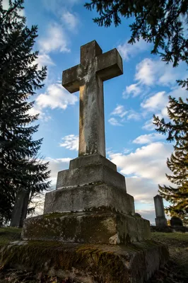 Weathered Stone Cross Beneath Evergreen Branches