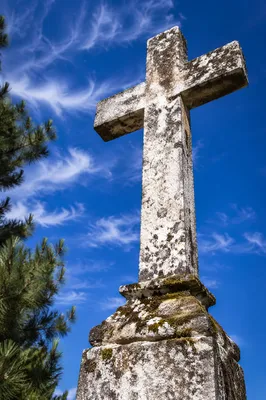 Weathered Stone Cross Beneath Evergreen Sky