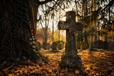 Weathered Stone Cross in Quiet Cemetery