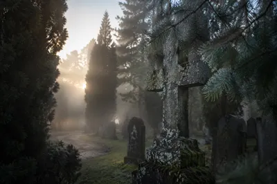 Weathered Stone Cross in Misty Evergreen Cemetery