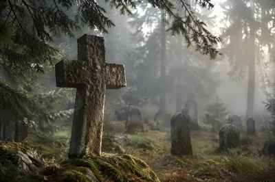 Weathered Stone Cross in Misty Evergreen Cemetery