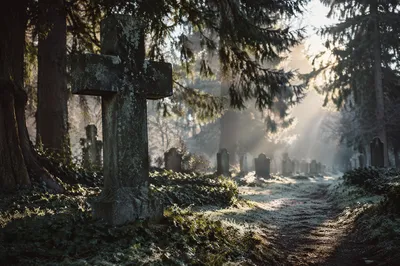 Weathered Stone Cross in Evergreen Cemetery