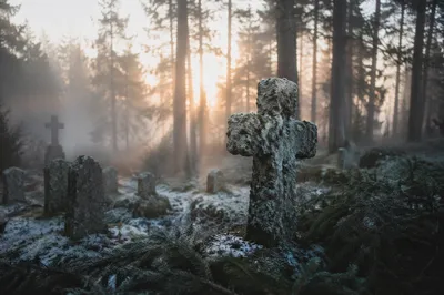 Weathered Stone Cross in Evergreen Cemetery