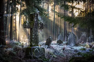 Weathered Stone Cross in Evergreen Cemetery