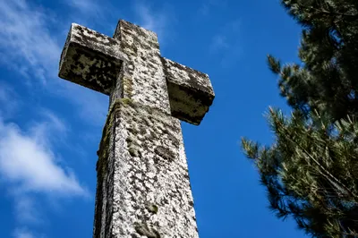 Weathered Stone Cross Beneath Evergreen Sky