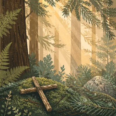 Morning Sunlight Over Mossy Forest Cross