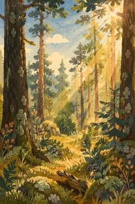 Sunlight Through Evergreen Forest Canopy