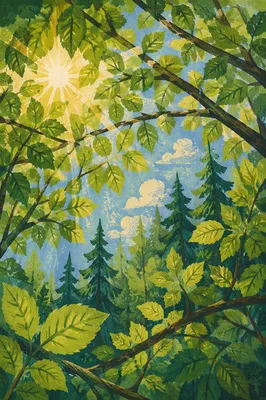 Sunlight Through Evergreen Forest Canopy