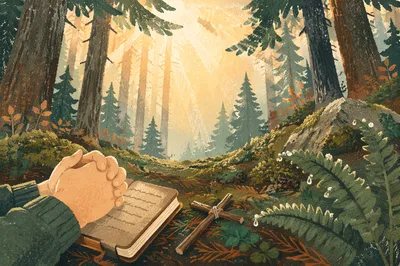 Prayerful Hands in Sunlit Evergreen Forest