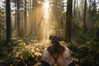 Morning Sunlight Over Evergreen Forest Cross