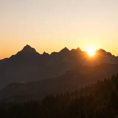 Golden Sunrise Over Evergreen Mountain Peaks