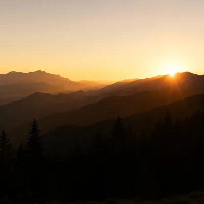 Golden Sunrise Over Evergreen Mountain Ridges