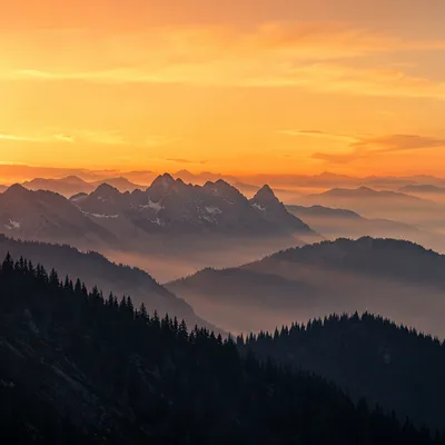 Golden Sunrise Over Evergreen Mountain Range