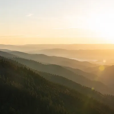 Golden Sunrise Over Evergreen Mountain Ridges