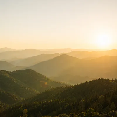 Golden Sunrise Over Evergreen Mountain Ridges