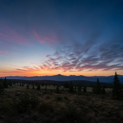 Golden Sunrise Over Evergreen Mountain Range