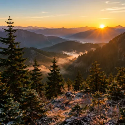 Golden Sunrise Over Evergreen Mountain Range