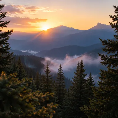 Golden Sunrise Over Evergreen Mountain Ridges