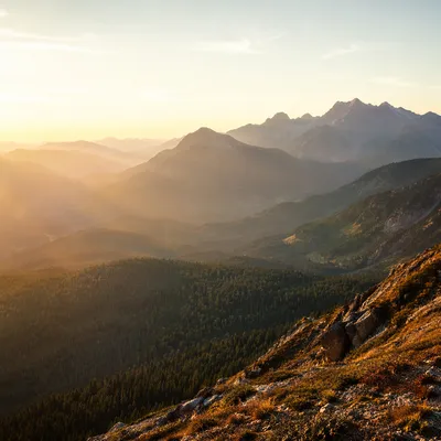Golden Sunrise Over Evergreen Mountain Range