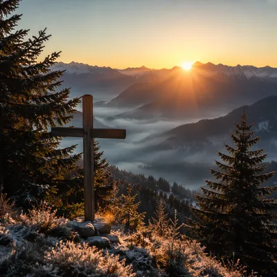 Golden Sunrise Cross Over Evergreen Mountains