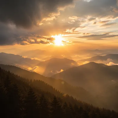 Golden Sunrise Over Evergreen Mountain Ridges