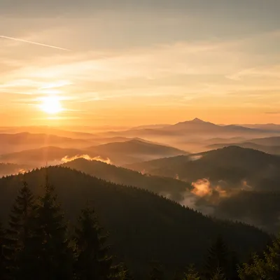 Golden Sunrise Over Evergreen Mountain Range