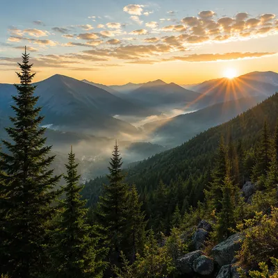 Golden Sunrise Over Evergreen Mountain Ridge