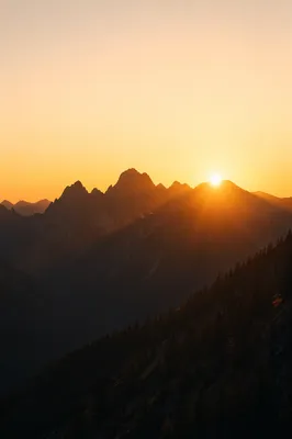 Golden Sunrise Over Evergreen Mountain Peaks