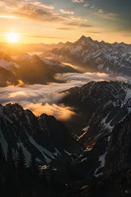 Golden Sunrise Over Evergreen Alpine Peaks