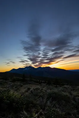 Golden Sunrise Over Evergreen Mountain Range
