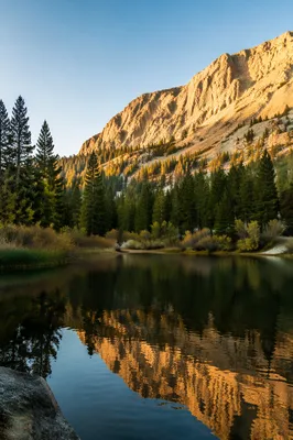 Golden Sunrise Over Evergreen Alpine Lake