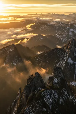 Golden Sunrise Over Evergreen Alpine Peaks