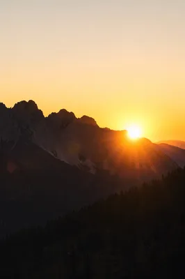 Golden Sunrise Over Evergreen Mountain Range