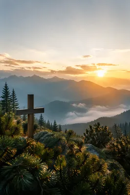 Golden Sunrise Cross Over Evergreen Mountains