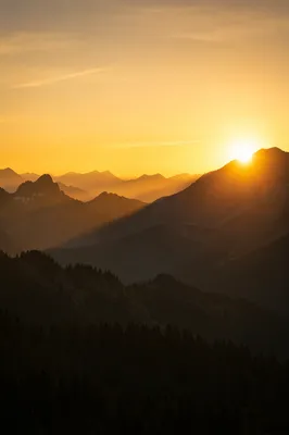 Golden Sunrise Over Evergreen Mountain Range