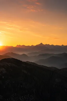 Golden Sunrise Over Evergreen Mountain Range