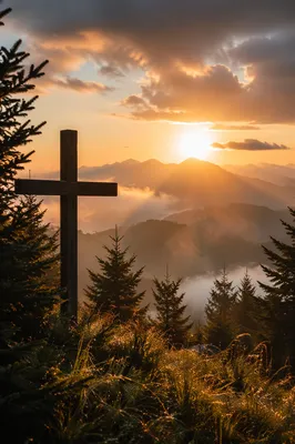 Golden Sunrise Cross Over Evergreen Mountains