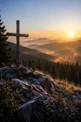 Golden Sunrise Cross Over Evergreen Mountains