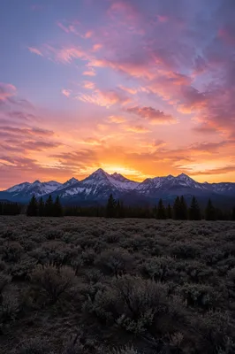 Golden Sunrise Over Evergreen Mountain Wilderness