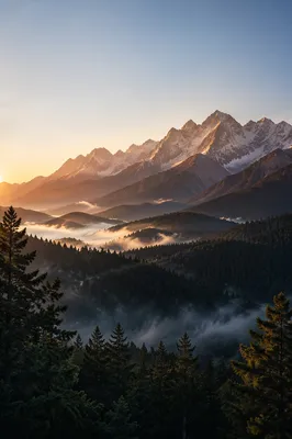 Golden Sunrise Over Evergreen Mountain Range
