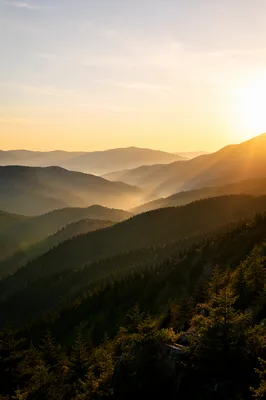 Sunrise Over Evergreen Mountain Ridges