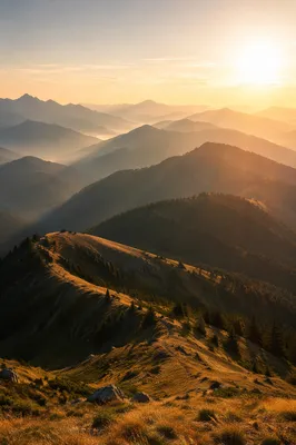 Golden Sunrise Over Evergreen Mountain Range